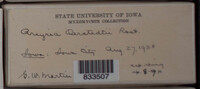 Image Associated With the Occurence